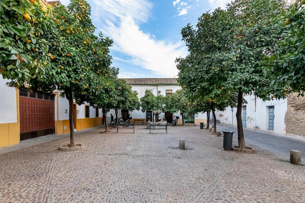 Apartamento Bhost - Regina III Córdoba Exterior foto